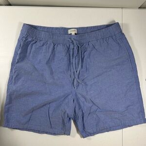 J. Crew Light Blue Casual Shorts